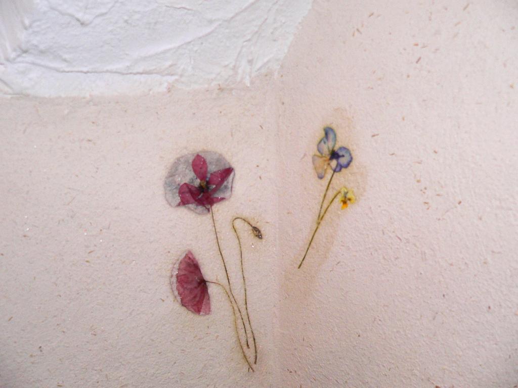 Chambres Et Gite "Pollen" Granier Dış mekan fotoğraf