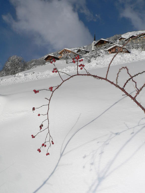 Chambres Et Gite "Pollen" Granier Dış mekan fotoğraf